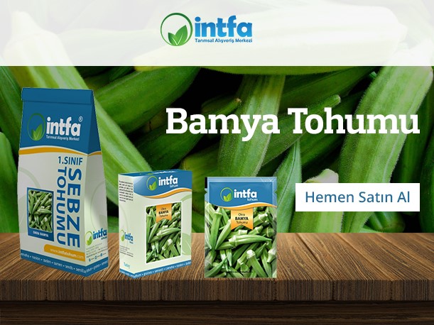 thumbnail_bamya