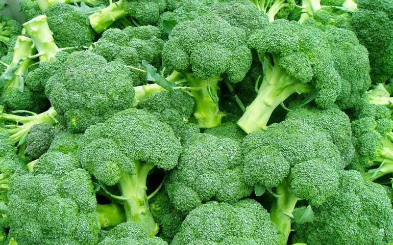  Brokoli Üretim Şekli