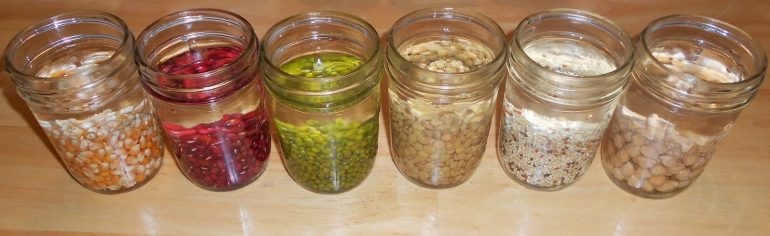  Tohumların Yapısı