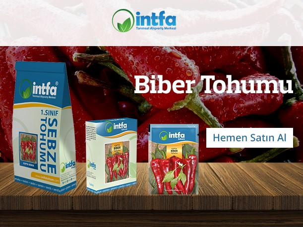 thumbnail_biber