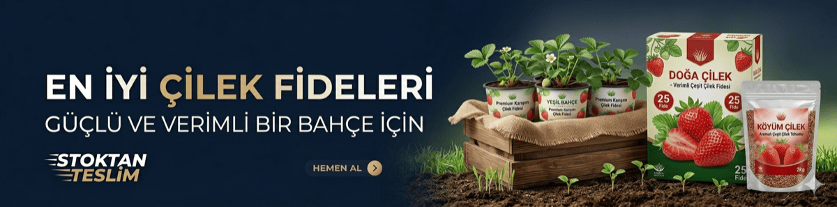 Çilek Fidesi Kampanya