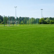 Futbol Sahası Çim Tohumu - 10 Kg