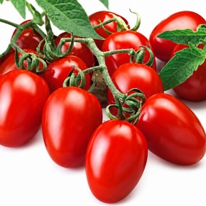 Bursa domatesi tohumu - 10 Gr