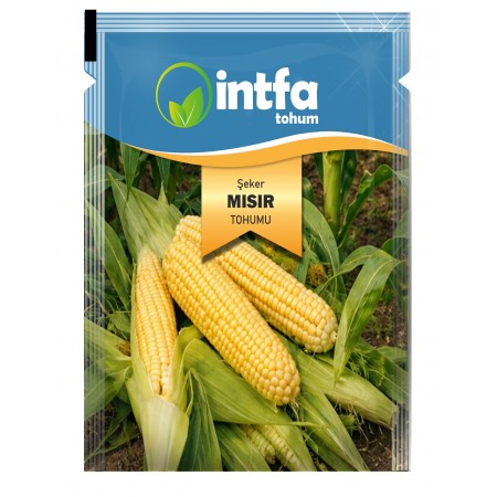 Şeker Mısır Tohumu - 25 Gr