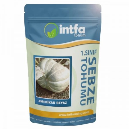 Balkabağı Tohumu Amerikan Beyaz - 500 gr