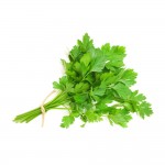 Standart Maydanoz Tohumu