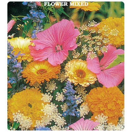 Karışık Çiçekler Tohumları