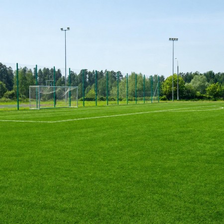 Futbol Sahası Çim Tohumu - 10 Kg