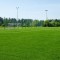 Futbol Sahası Çim Tohumu - 1 Kg