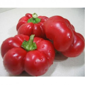 Doğal Domates Biberi Tohumu - 1 kg