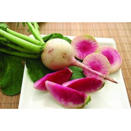 Doğal İçi Kırmızı Çin Turp Tohumu - 50 Adet