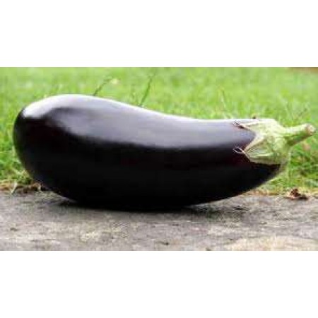 Doğal Kemer Patlıcan Tohumu - 10 gr