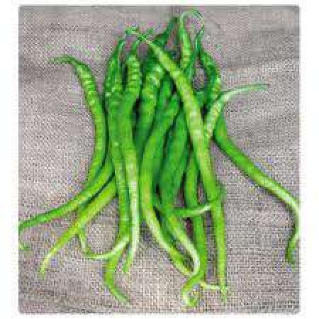 Hobi Doğal Kıl Acı Biber Tohumu - 50 Adet