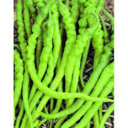 Doğal Kıl Tatlı Biber Tohumu - 500 gr