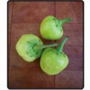 Doğal Misket Biberi Tohumu - 10 gr