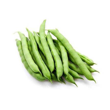 Doğal Oturak Fasulye Tohumu - 25 Adet Doğal Oturak Fasulye Tohumu - 25 Adet