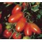 Doğal Salçalık Domates Tohumu - 10 gr 
