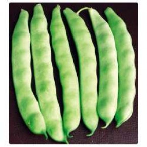 Hobi Doğal Öz Ayşe (Sırık) Fasulye Tohumu - 25 Adet