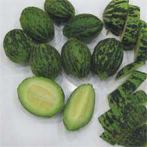 Doğal Turşuluk Kavun Tohumu - 10 gr Doğal Turşuluk Kavun Tohumu - 10 gr