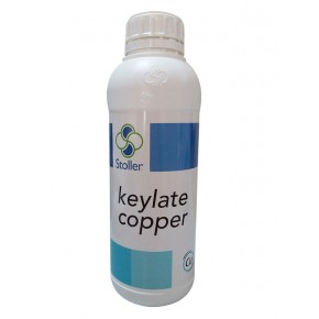 Bakırlı Gübre Çözeltisi - Keylate Copper - 1 Lt