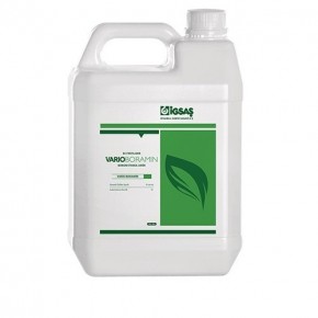 İgsaş Boron Etanol Amin - Boramin - 20 Litre