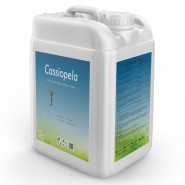 Sıvı Azot Gübresi Cassiopela - 20 Lt