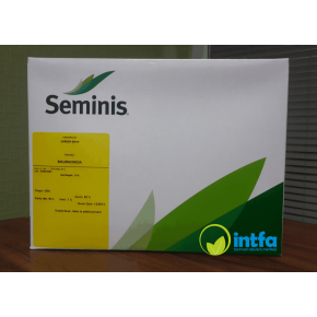 Bourgondia Fasulye Tohumu - 2 Kg