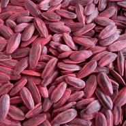 Hibrit Çerezlik Çin Çekirdeği Tohumu - 10 Kg (Çin Tipi) - NT-363