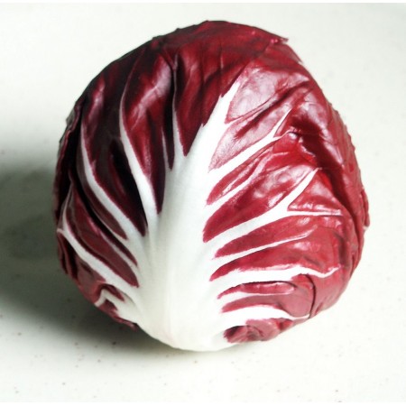 Hibrit Hindiba (Radicchio rosso) Tohumu F1 (Yuvarlak - Kırmızı - Beyaz) - 5.000 Adet Tohum