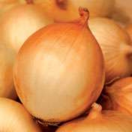 Hibrit Soğan Tohumu F1 (Kısa gün - Yuvarlak - Grano) - 100.000 Adet Tohum