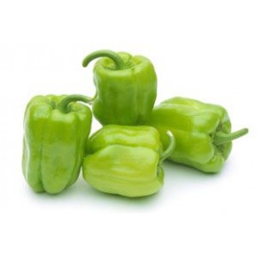 Hibrit Biber Tohumu - Dolma - Bade F1 - 1000 Adet 