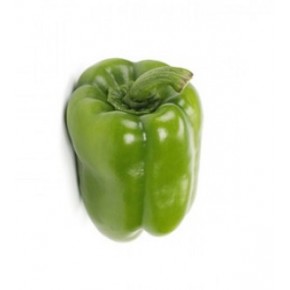 Hibrit Dolma Biber Tohumu - DODDO RZ F1 - 1000 Adet 