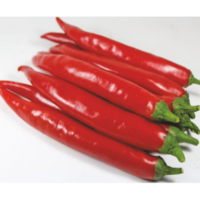 Hibrit Biber Tohumu - Elmira F1 (Şİli) - 1000 Adet 