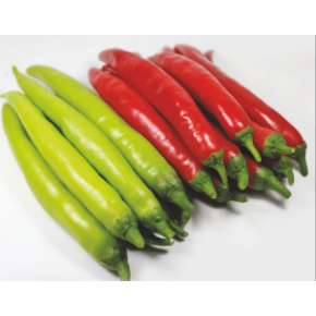 Hibrit Biber Tohumu - Elmira F1 (Şİli) - 1000 Adet 