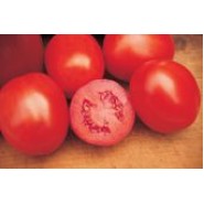 Hibrit Domates Tohumu - APTX 271 F1 Sanayi - 25.000 Adet 