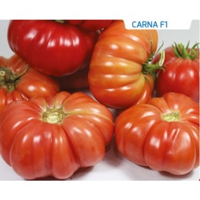 Hibrit Sırık Domates Tohumu - CARNA F1 - 1.000 Adet