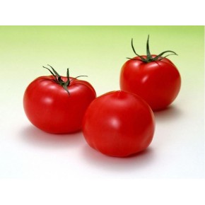 Hibrit Oturak Domates Tohumu - Egemen F1 Tarla -1.000 Adet 
