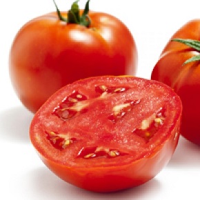 Hibrit Oturak Domates Tohumu - FDR 8565  - 1.000 Adet 