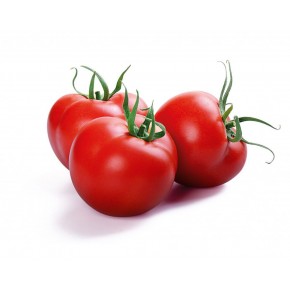 Hibrit Sırık Domates Tohumu - Firuz F1 - 1.000 Adet 