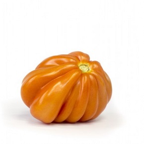 Hibrit Domates Tohumu  - RUGANTINO RZ F1 - 1.000 Adet 