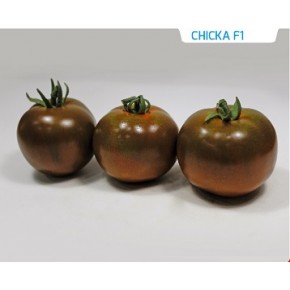 Hibrit Mor Domates Tohumu - CHICKA F1 - 1.000 Adet 