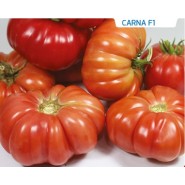 Hibrit Sırık Domates Tohumu - CARNA F1 - 1.000 Adet