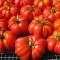 Hibrit Sırık Kırmızı Köy Domates Tohumu Gölkaya F1-1.000 Adet