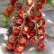 İthal Cherry Domates Tohumu Wrescoin - 25.000 Adet