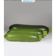 Hibrit Kabak Tohumu - Manolya F1 - 500 Adet