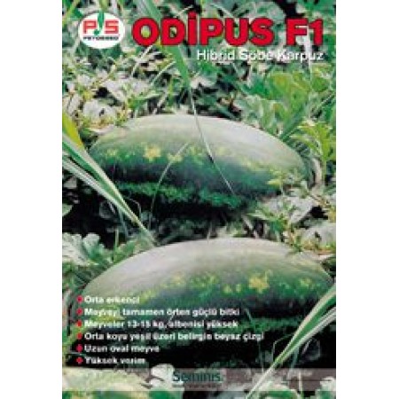 Hibrit Ala Karpuz Tohumu Odipus F1 - 1.000 Adet Tohum Hibrit Ala Karpuz Tohumu Odipus F1 - 1.000 Adet Tohum