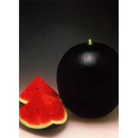 Hibrit Karpuz Tohumu - Pata Negra F1 - 1.000 Adet Tohum Hibrit Karpuz Tohumu - Pata Negra F1 - 1.000 Adet Tohum