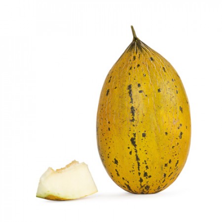 Hibrit Kavun Tohumu - 34-868 RZ F1 - 1.000 Adet Tohum