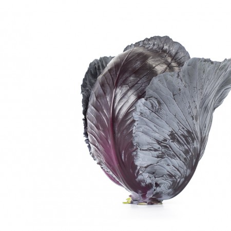 Hibrit Kırmızı Lahana Tohumu - RED CHARISMA RZ F1 - 2.500 Adet Tohum