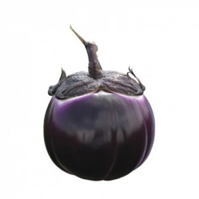 Hibrit Patlıcan Tohumu - SABELLE RZ F1 - 1.000 Adet Tohum